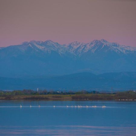 "Chill" Magnifique Vue Sur La Mer Et Le Port Au Coeur De La Ville En Premiere Ligne Canet-en-Roussillon Exteriér fotografie