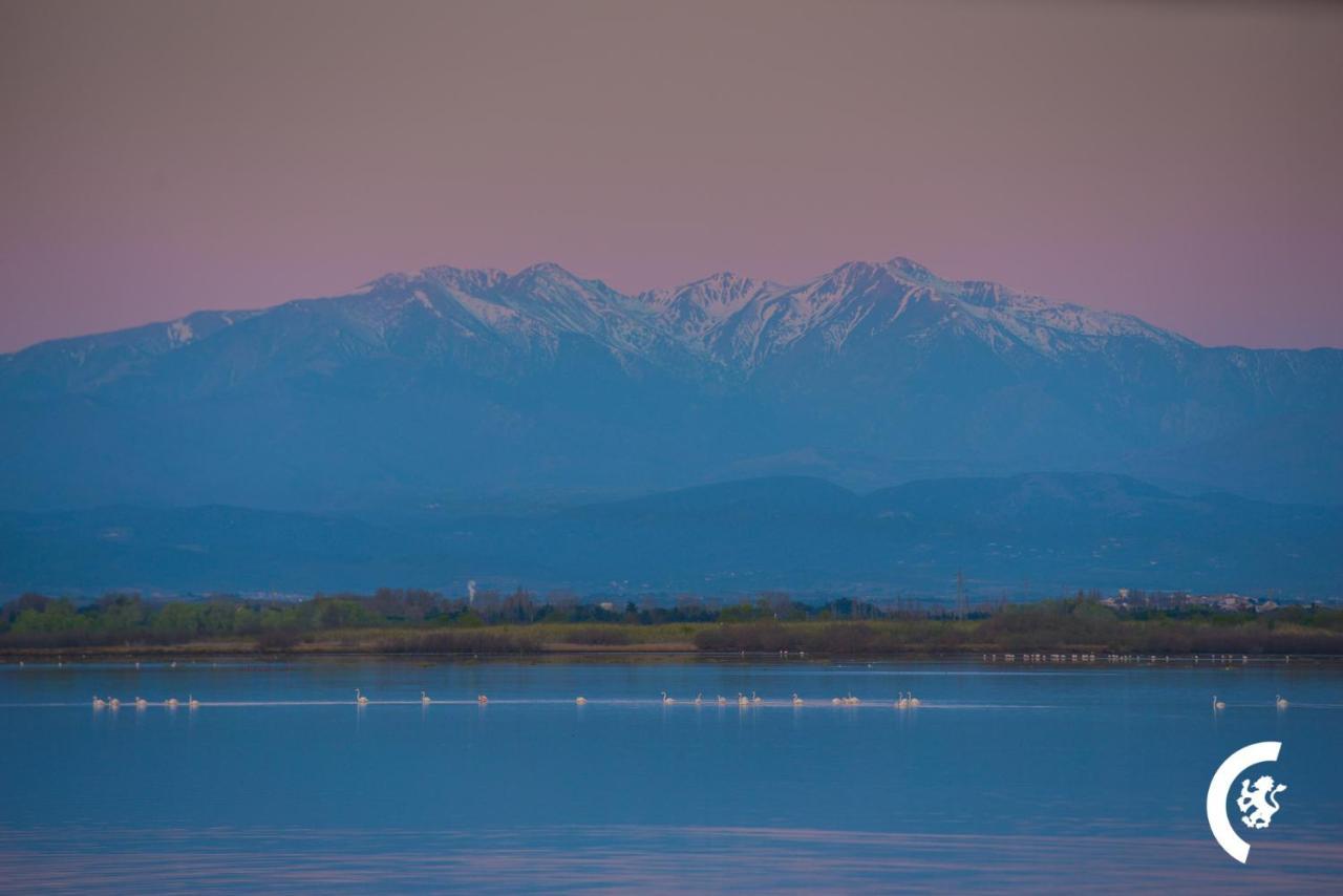 "Chill" Magnifique Vue Sur La Mer Et Le Port Au Coeur De La Ville En Premiere Ligne Canet-en-Roussillon Exteriér fotografie